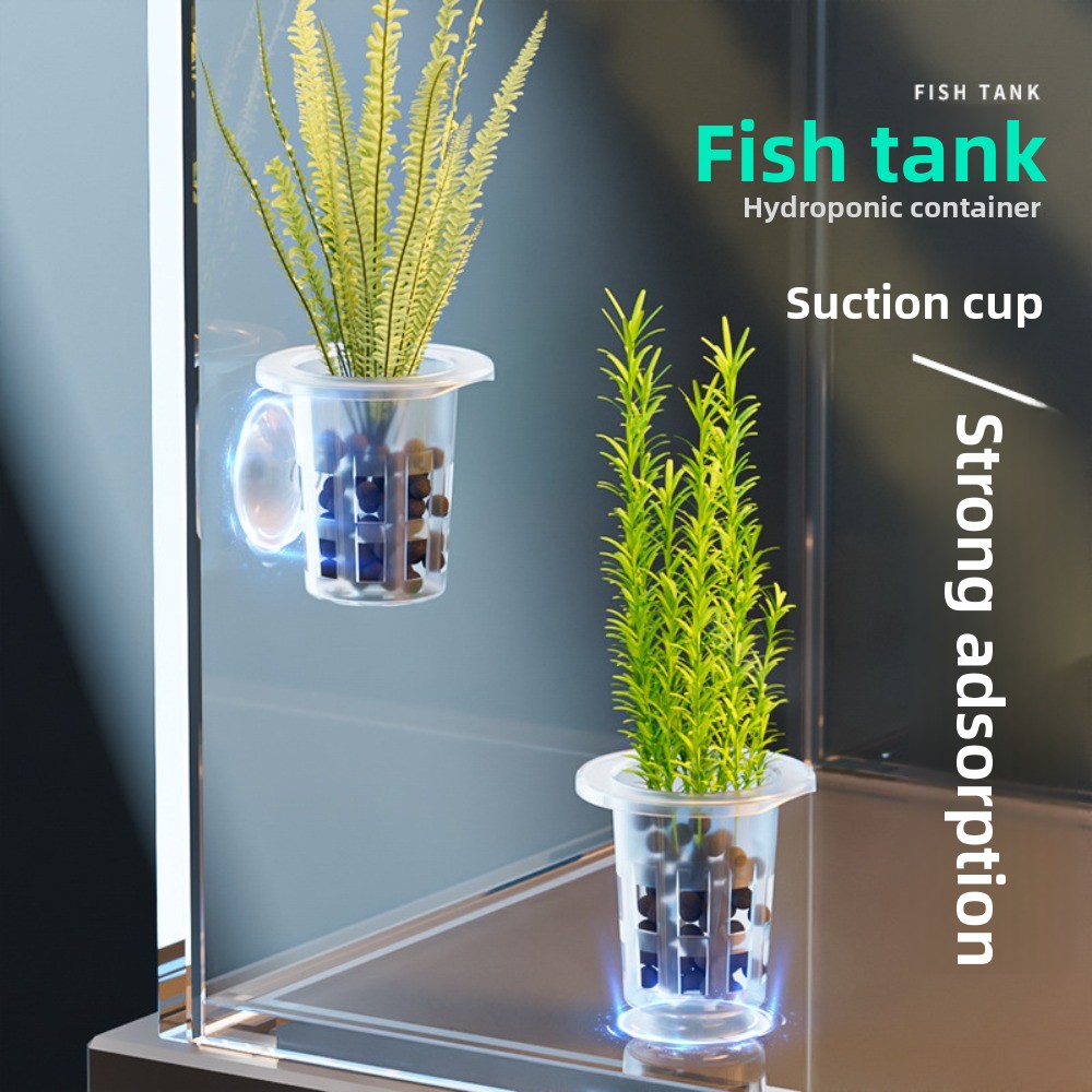 10Pcs Transparent Plant Hydrop - огляд і ціна Hydroponic Grow Pod