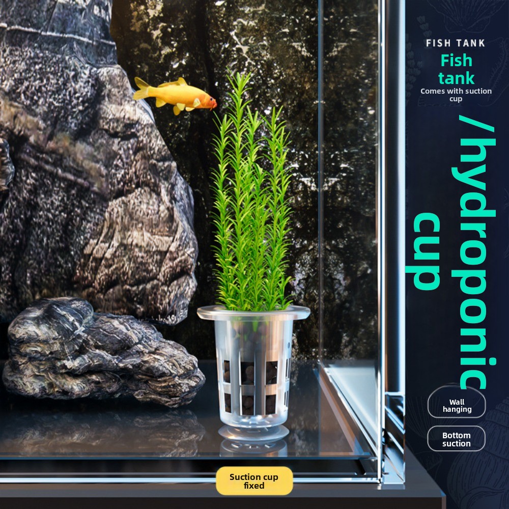 10Pcs Transparent Plant Hydrop - огляд і ціна Hydroponic Grow Pod