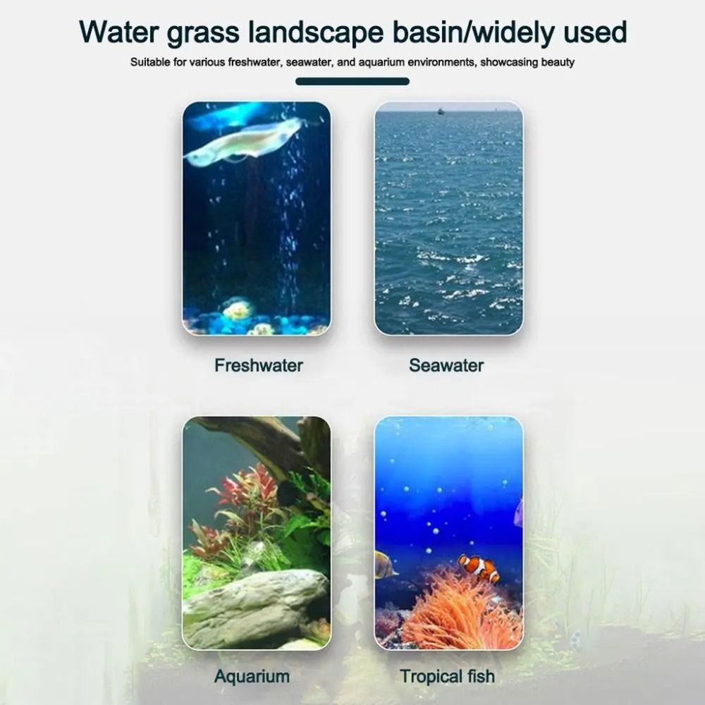 10Pcs Transparent Plant Hydrop - огляд і ціна Hydroponic Grow Pod
