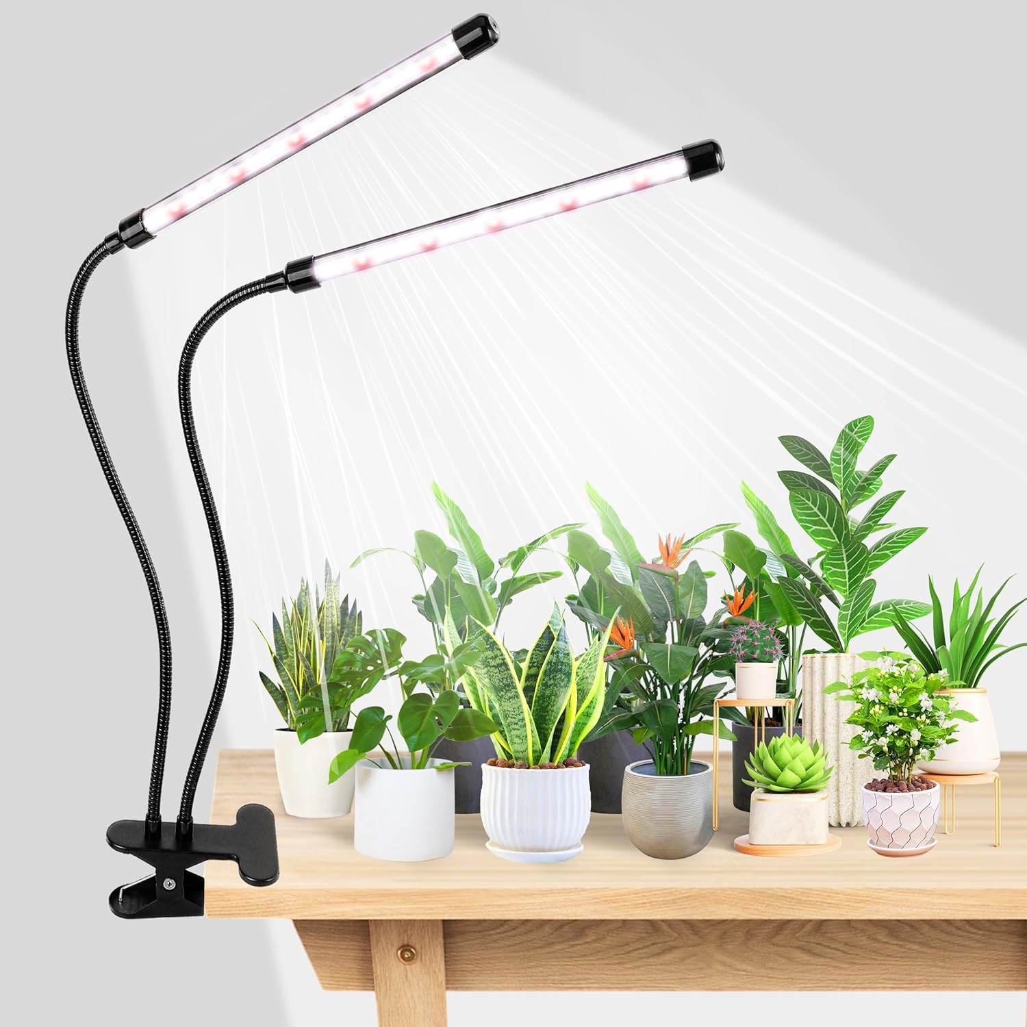 KEBINCPLED USB 5V Clip Plant G - огляд і ціна Hydroponic Grow Pod