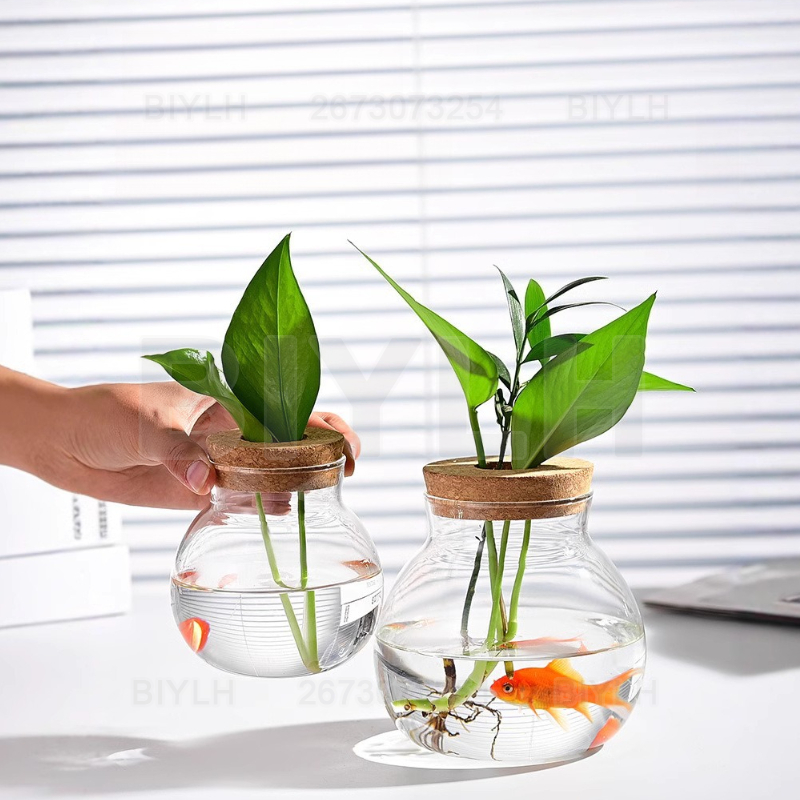 Hydroponic Plant Glass Vase Wi - огляд і ціна Hydroponic Grow Pod