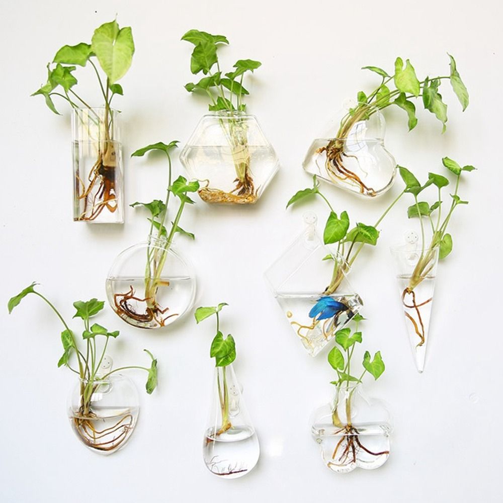Hydroponic Plants Purify House - огляд і ціна Hydroponic Grow Pod