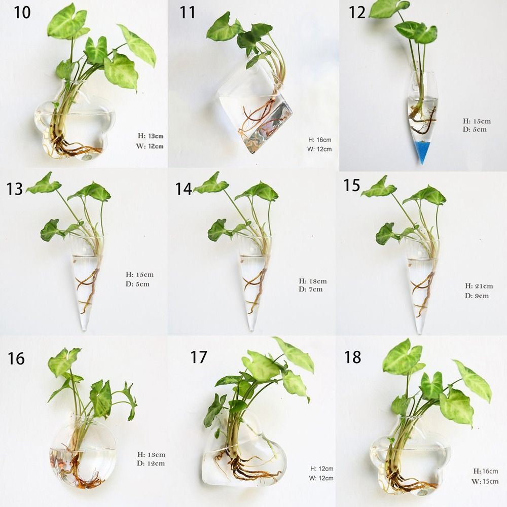 Hydroponic Plants Purify House - огляд і ціна Hydroponic Grow Pod