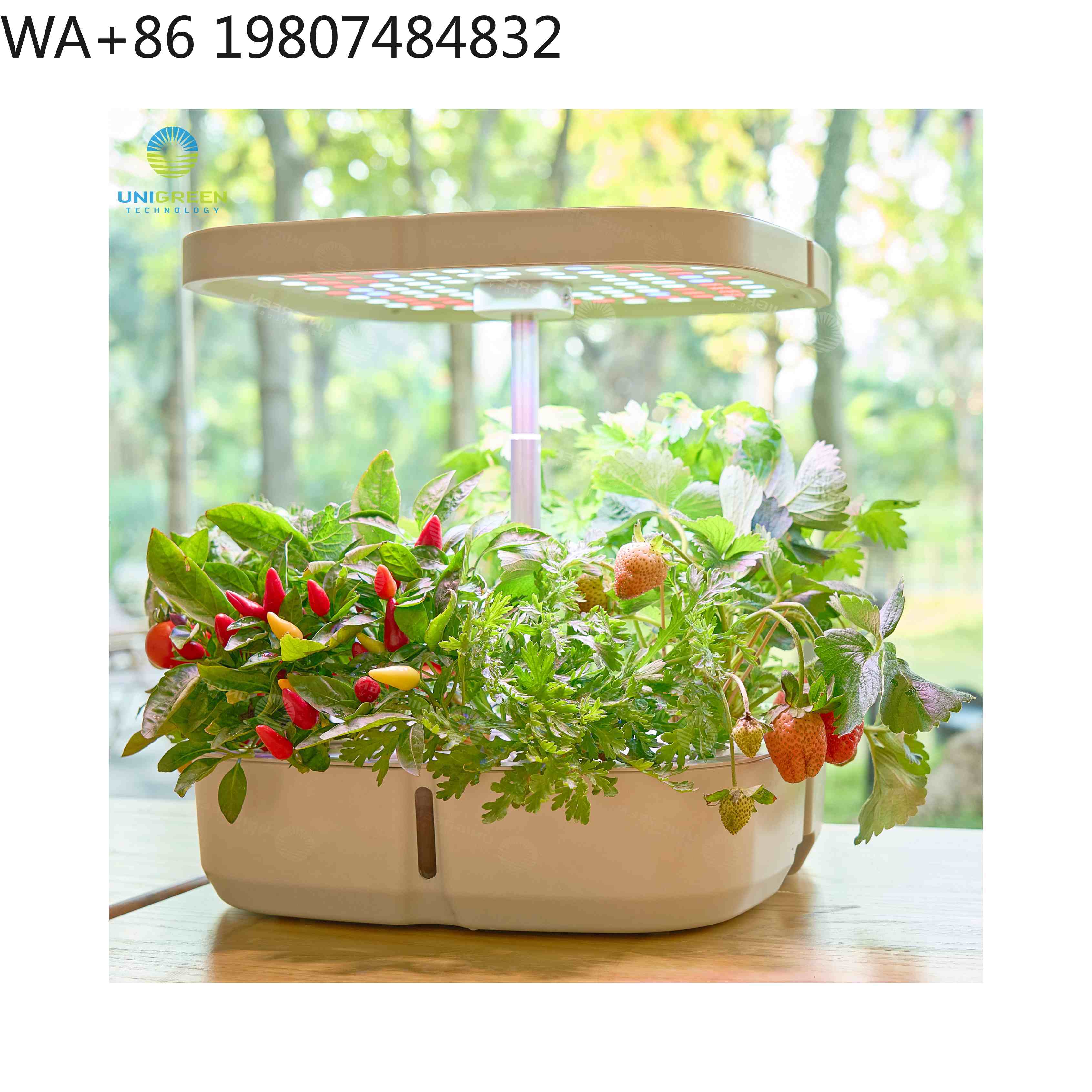 8 Pod  Mini Hydroponic Grow Bo - огляд і ціна Hydroponic Grow Pod