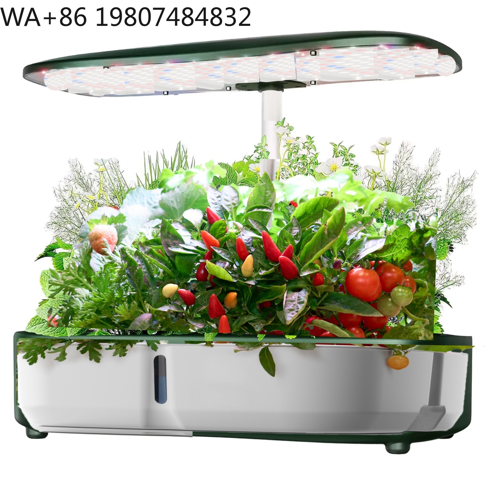 8 Pod  Mini Hydroponic Grow Bo - огляд і ціна Hydroponic Grow Pod