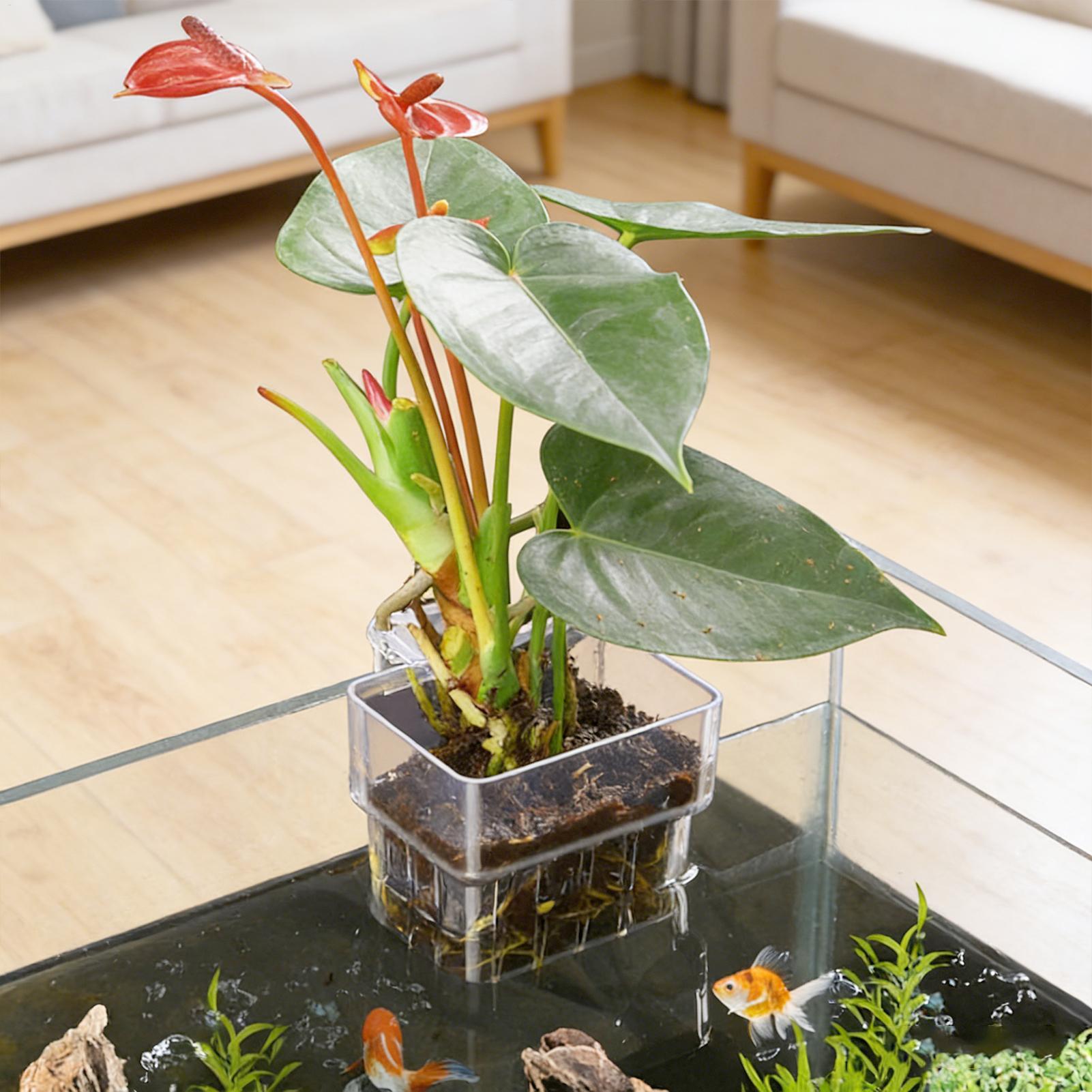 Transparent Hangable Aquarium  - огляд і ціна Hydroponic Grow Pod