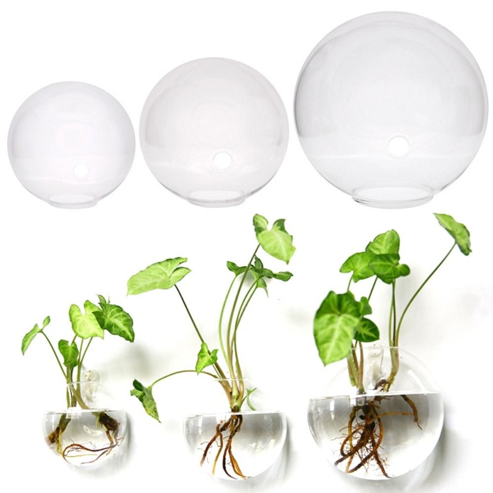 Transparent Glass Vase Wall Ha - огляд і ціна Hydroponic Grow Pod