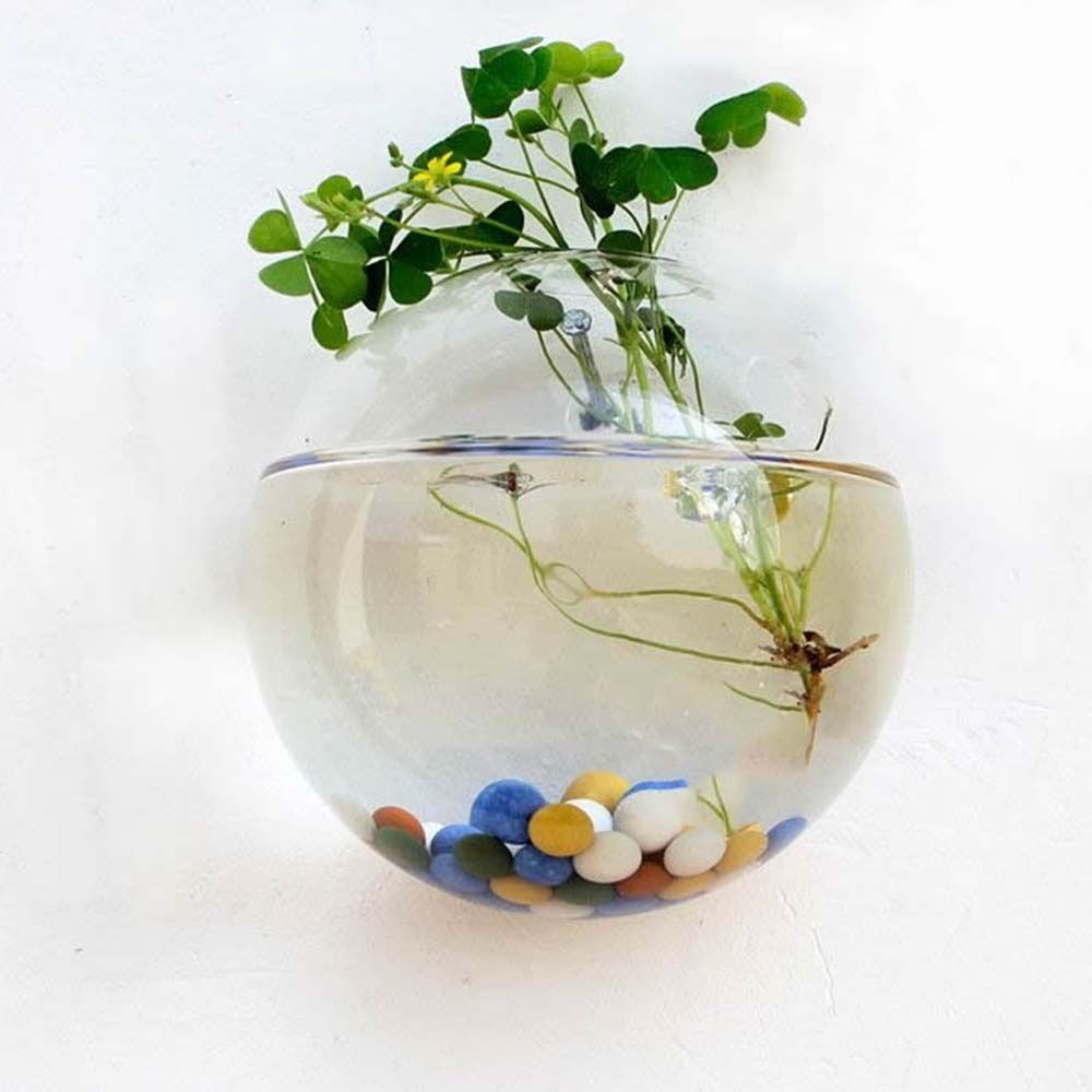 Transparent Glass Vase Wall Ha - огляд і ціна Hydroponic Grow Pod