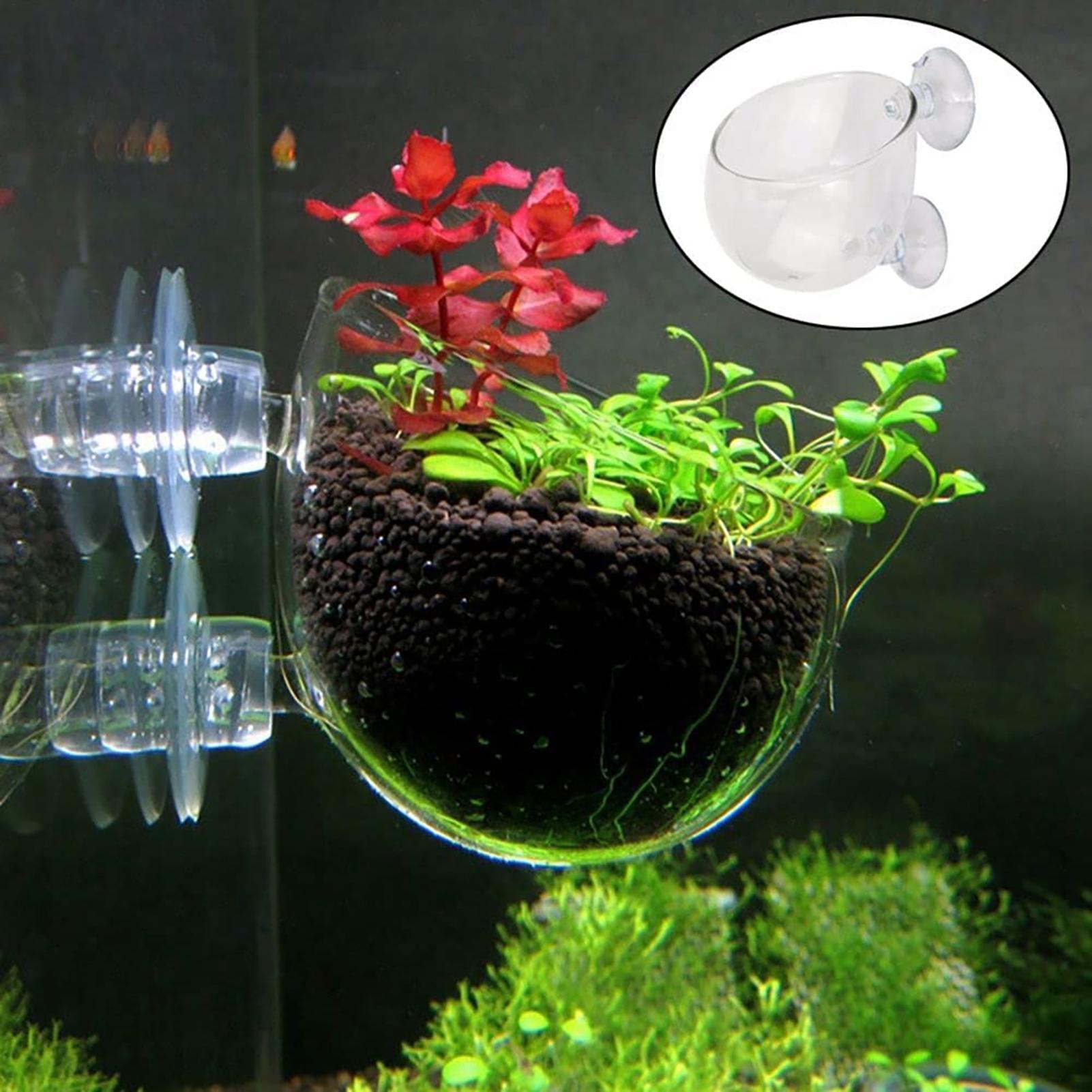 Aquatic Plant Pot Clear Acryli - огляд і ціна Hydroponic Grow Pod