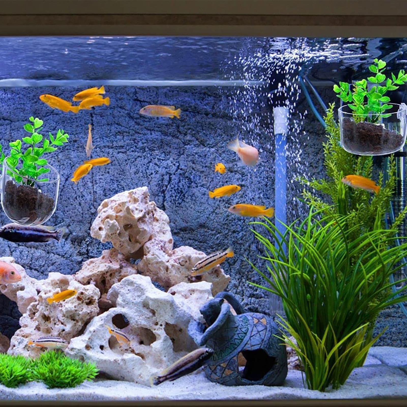 Aquatic Plant Pot Clear Acryli - огляд і ціна Hydroponic Grow Pod