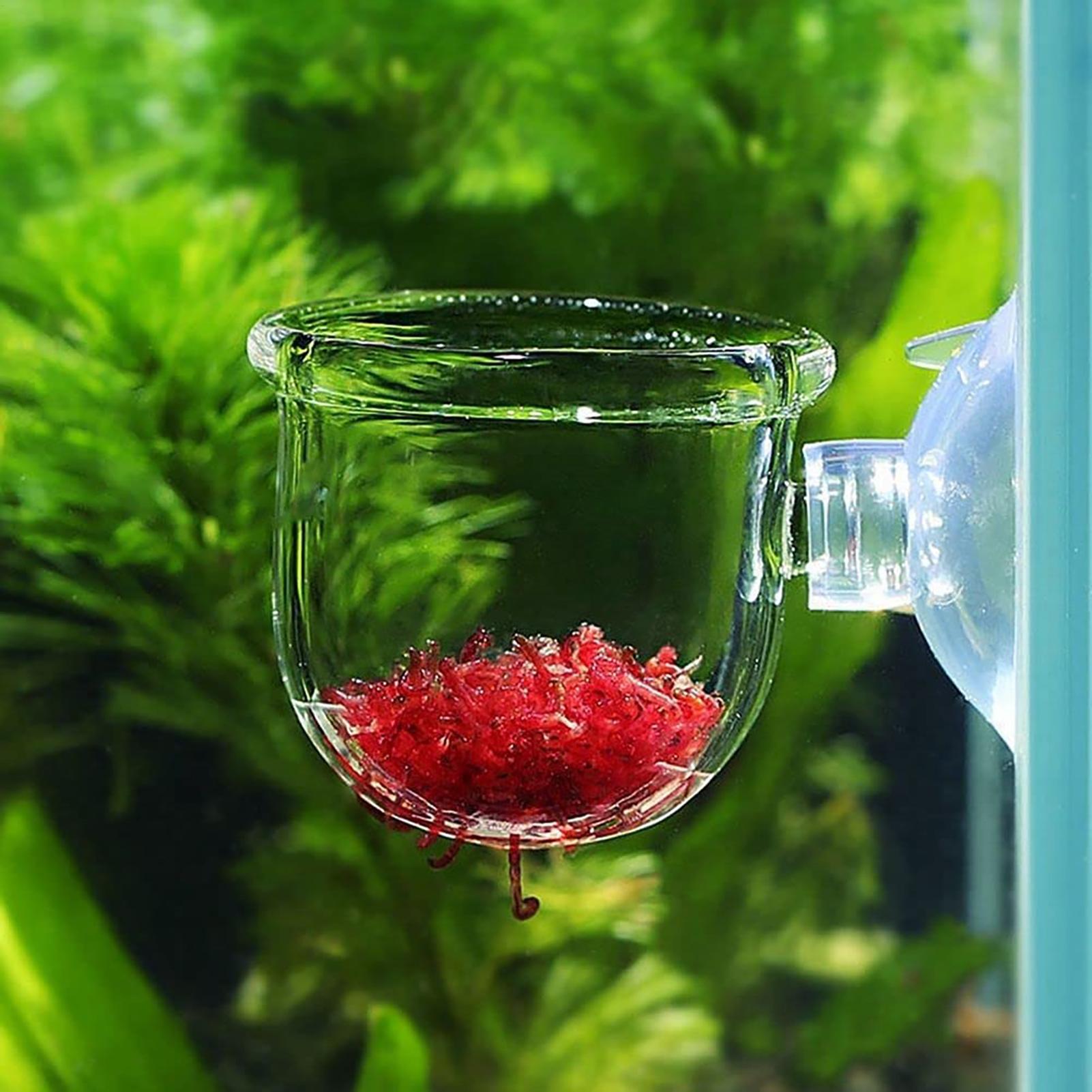 Aquatic Plant Pot Clear Acryli - огляд і ціна Hydroponic Grow Pod
