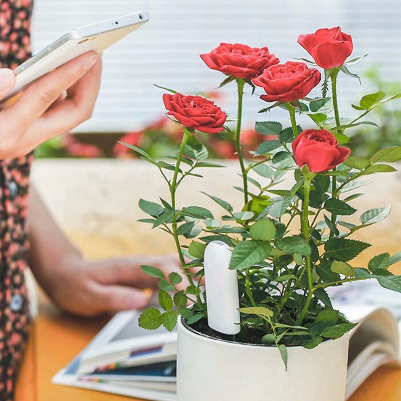 HHCC Flower Care Smart Plant M - огляд і ціна Smart Garden Xiaomi