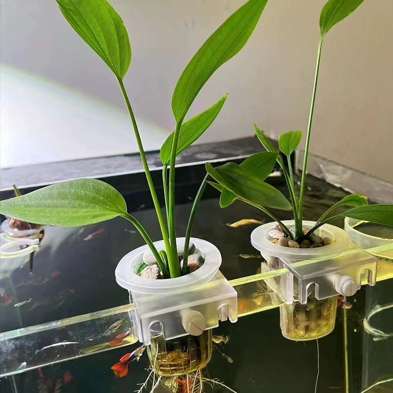Aquarium Planting Basket Hydro - огляд і ціна Hydroponic Grow Pod